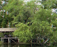 021 River kwai lunch 10701052